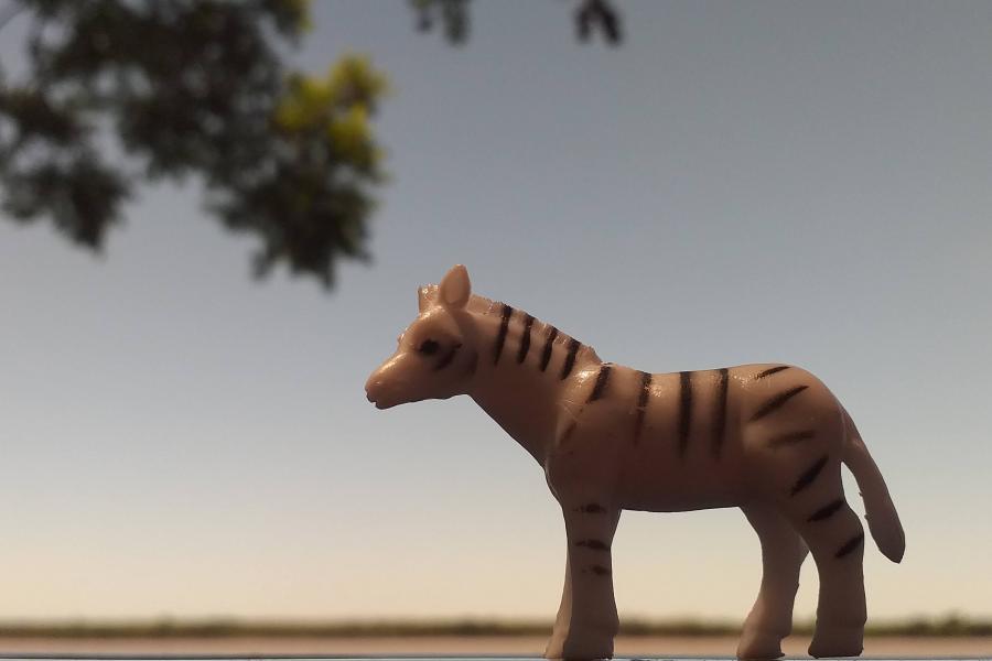 Foto de una zebra de juguete con un atardecer