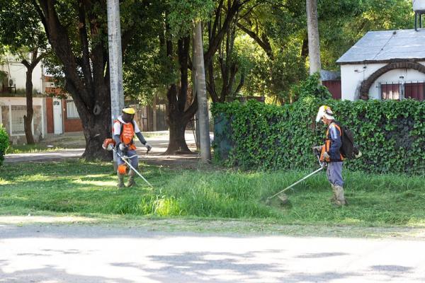 Se ejecutan trabajos de limpieza y desmalezado en espacios verdes y vía pública